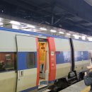 🚆 당일치기 대천 여행! 내돈내산! 분위기 좋은 충청도 카페 &amp; 가성비 최고 먹보네 조개구이 맛집 리뷰 🏖️