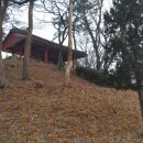 새마을사 | 지역민들의 회합의 장소의 정자 광주 양과동정(良苽洞亭)-2