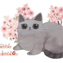 렉슬휘트니스_1 이미지