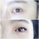 마벨디 이미지