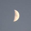 뼈대있는짬뽕 이미지