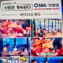 금강해물탕 | 속초 조개구이 바다다조개다 # SBS 사랑은 계속된다에 나온 속초 맛집 (26.1월) # 명품 조개구이 핫플