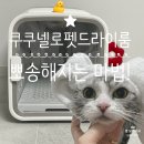 뽀송펫 | 샤워 후 뽀송해지는 마법 쿠쿠넬로 펫드라이룸 찐 사용 후기
