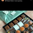 정 이미지