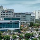 김동찬내과 연합뉴스