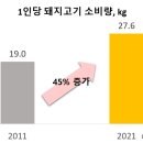 돼지데이