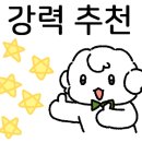 H5115 네이버블로그