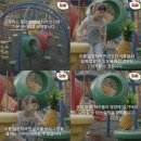 선샤인청과