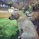 랑랑이네 하숙 이미지