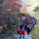회남재 숲길 이미지