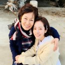 미담집 이미지