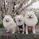 화신식품 이미지