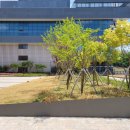 갈매광장 이미지