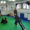 쌍용합기도 이미지