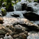 단지골 몽상가 이미지