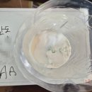 1급 세교모터스 이미지