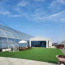 인화농장 | 경북 경산 대구 근교 아기랑 가볼만한 곳 딸기농부체험 쑥쑥농장