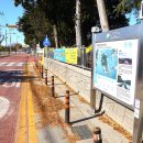 2025.12.06(토) 남파랑길88코스, 완도 상왕산 5봉 종주 산행을 다녀왔습니다 이미지