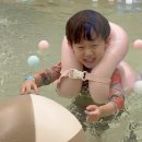 키즈더웨이브 길음 키즈풀 드로잉 키즈카페 분리수업 후기