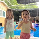 솔내음 백숙 이미지