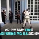 태형 Daum카페