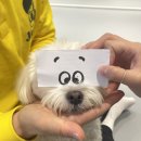 고잔유치원 이미지