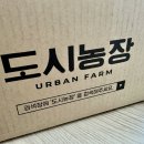페이벡커피
