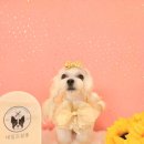 네임드 살롱 이미지