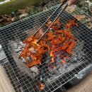 개똥이네 | [캠핑로그 #4] 개똥이네 캠핑장 달빛 사이트 후기