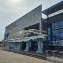 경남 사천 아이와 가볼 만한 곳 아라마루 아쿠아리움 후기