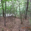 용당내광로 이미지