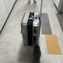 [2022년 10월 미국 동부 뉴욕 여행] 0-1일차 출국,미국입국심사,나홀로뉴욕,레이니뉴욕