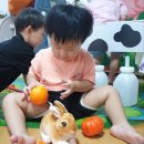 유안농장 이미지