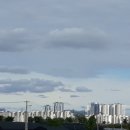 삼마네개냥이 이미지