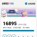 오늘은 새벽에 상추따고 치과로 또 농장으로 이미지
