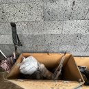 창촌리 쓰레기분리수거장 | 시골집 쓰레기 문제 해결! 대형 분리수거함 설치 과정부터 후기까지 (내돈내산)