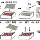 단호박 재배기술 이미지