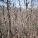 서구-02-42 이미지