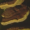 이상만농장 이미지