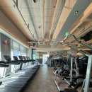 솔트스포츠 이미지