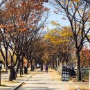 공지천 산책로 이미지