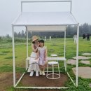 지효목장 네이버블로그