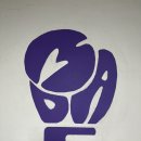 MADE BOXING 이미지