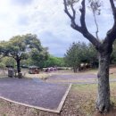 모구리야영장(가족영지) 이미지