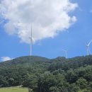 금학목장 이미지