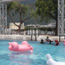 캠프통포레스트 이미지