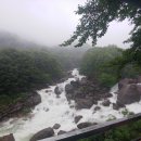 하대동303 이미지