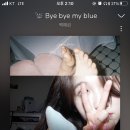 비나 이미지