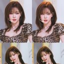 다일디자인 이미지