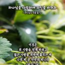 핸드폰 배경화면&잠금화면_20230402_마태복음 26장 28절_하나님을 사랑하여 자신을 바쳐라_종려 주일 & 고난 주일_하나님의 작품 이미지